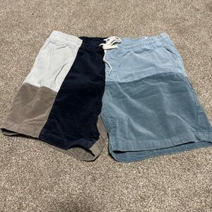 PacSun Women's Multi Shorts